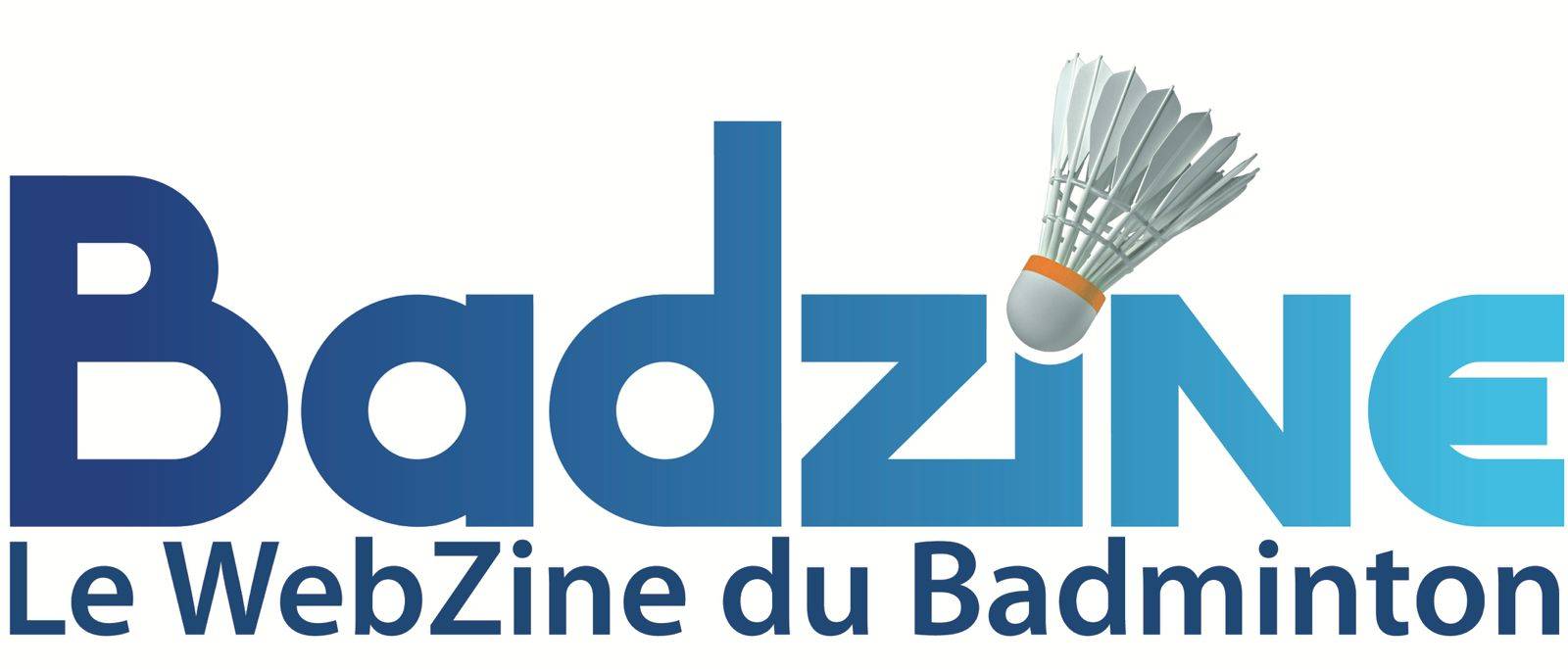 Badzine